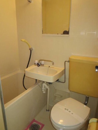 ��ʌ��������܎s��΋���q�P���ڂ̃}���V�����̃g�C��