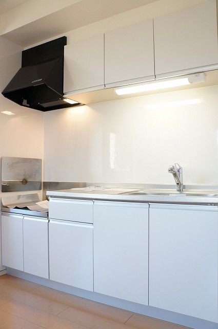 ��ʌ��������܎s�΋�����P���ڂ̃A�p�[�g�̃L�b�`��