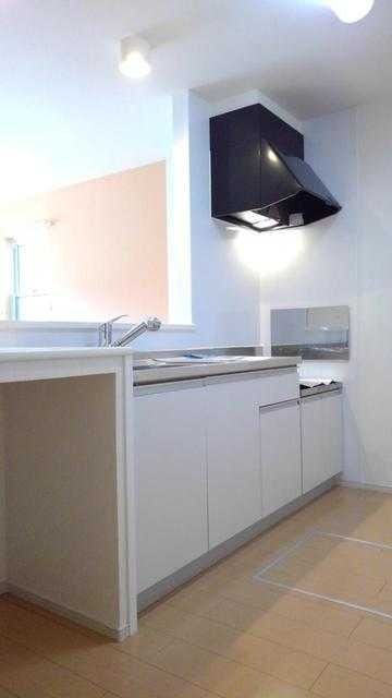 ��ʌ��t�����s�L���Q���ڂ̃A�p�[�g�̃L�b�`��