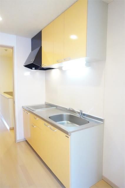 ��ʌ��z�J�s���z�J�T���ڂ̃A�p�[�g�̃L�b�`��