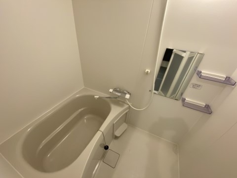 ��ʌ�����s�厚�����̃A�p�[�g�̃o�X