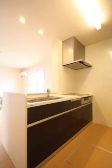 ��ʌ��������܎s����厚���V�n�̃A�p�[�g�̃L�b�`��