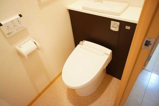 ��ʌ��z�J�s���C�N�^�E���W���ڂ̃}���V�����̃g�C��