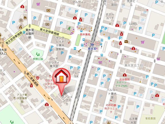 ��ʌ��������܎s�����擌��{�S���ڂ̃}���V�����̒n�}