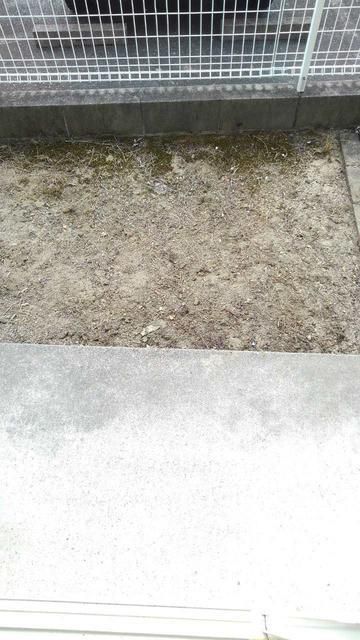 ��ʌ��@�c�s���m�؂P���ڂ̃}���V�����̃o���R�j�[