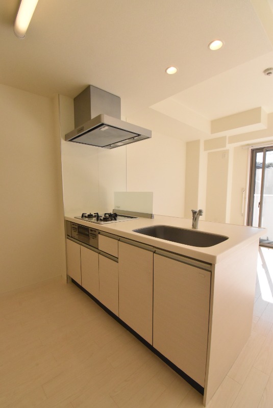 ��ʌ�����s�厚������̃}���V�����̃L�b�`��