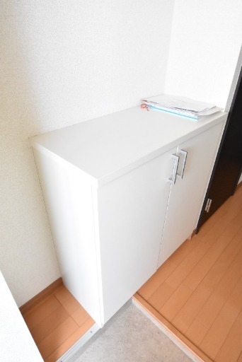 ��ʌ��������܎s���Ȗ{�S���ڂ̃}���V�����̌���