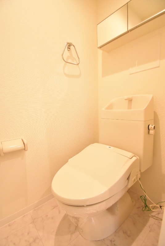 ��ʌ�����s�厚������̃}���V�����̃g�C��