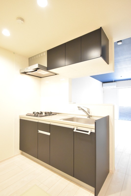 ��ʌ��z�J�s���������̃A�p�[�g�̃L�b�`��