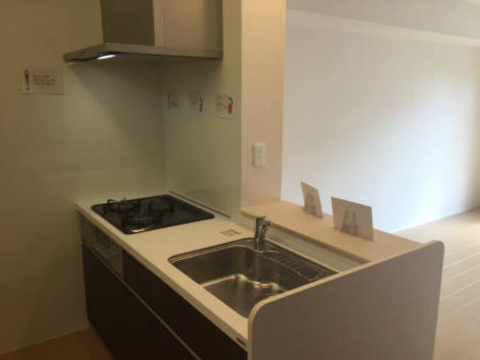 ��ʌ��k�����S�ɓޒ��厚�����̃A�p�[�g�̃L�b�`��