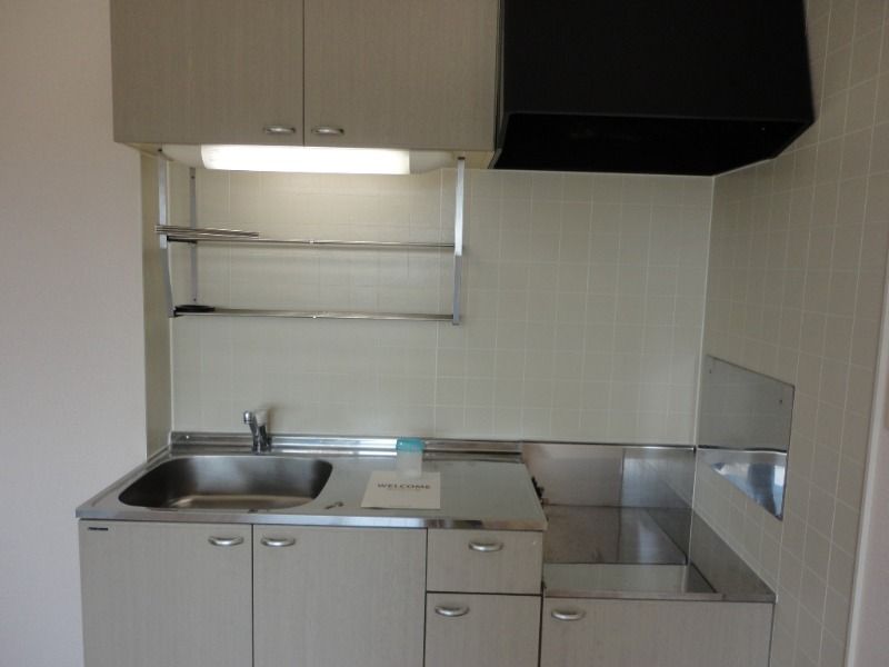 ��ʌ��������܎s�k��ʏ����̃A�p�[�g�̃L�b�`��