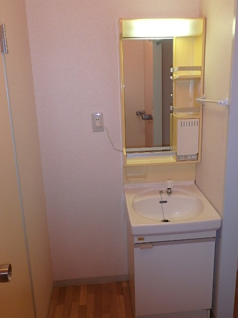 ��ʌ��������܎s����厚�w��̃A�p�[�g�̐��ʏ�