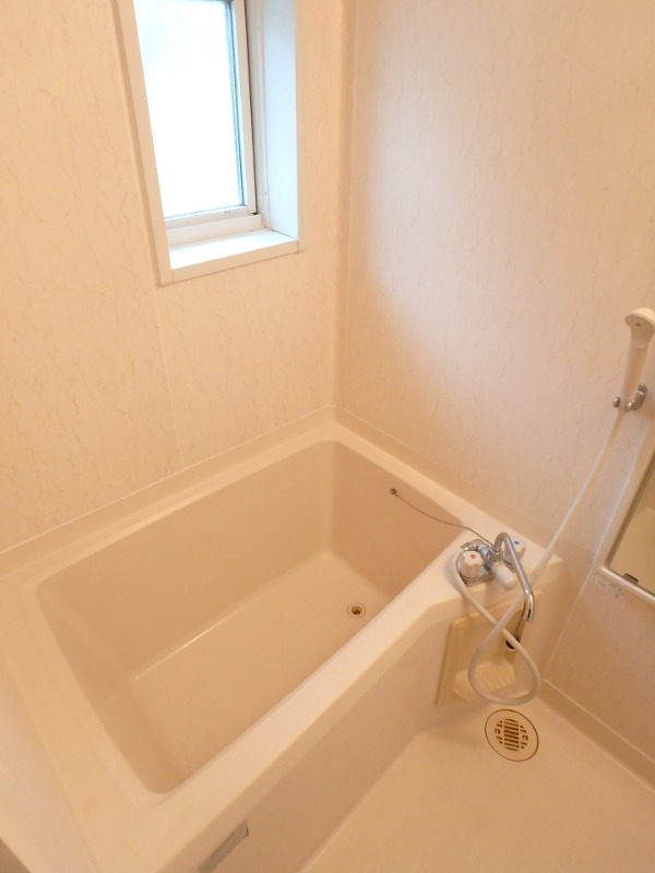 ��ʌ��������܎s����厚�w��̃A�p�[�g�̃o�X