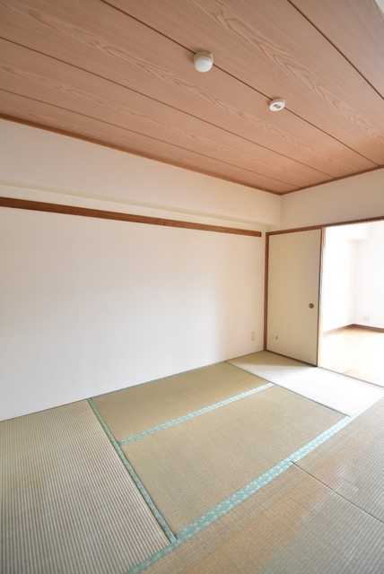 ��ʌ��������܎s�����扺�����V���ڂ̃}���V�����̂��̑�