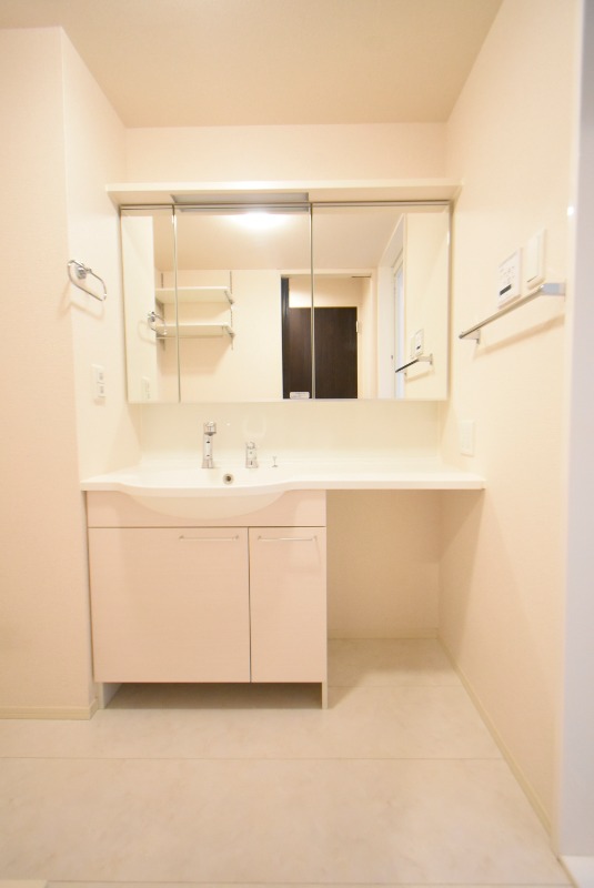 ��ʌ�����s�厚�ΐ_�̃A�p�[�g�̐��ʏ�