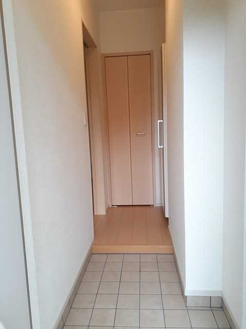 ��ʌ��������܎s�΋�厚���̃A�p�[�g�̌���