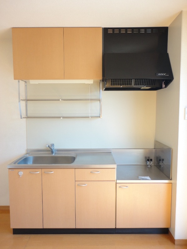 ��ʌ��k�����S�ɓޒ��w���S���ڂ̃A�p�[�g�̃L�b�`��