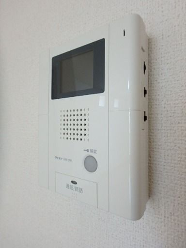 ��ʌ��������܎s�Y�a����P���ڂ̃}���V�����̂��̑�