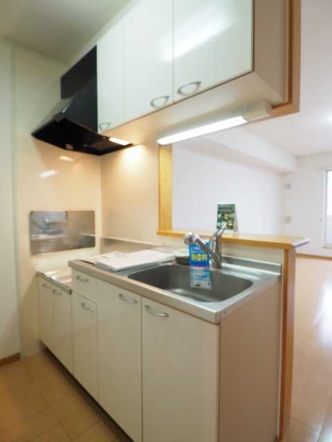 ��ʌ��@�c�s���V�h�U���ڂ̃A�p�[�g�̃L�b�`��