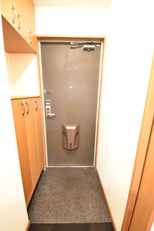 ��ʌ�����s�厚������̃}���V�����̌���