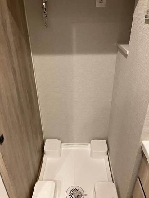 ��ʌ��������܎s�Y�a��ݒ��V���ڂ̃}���V�����̂��̑�