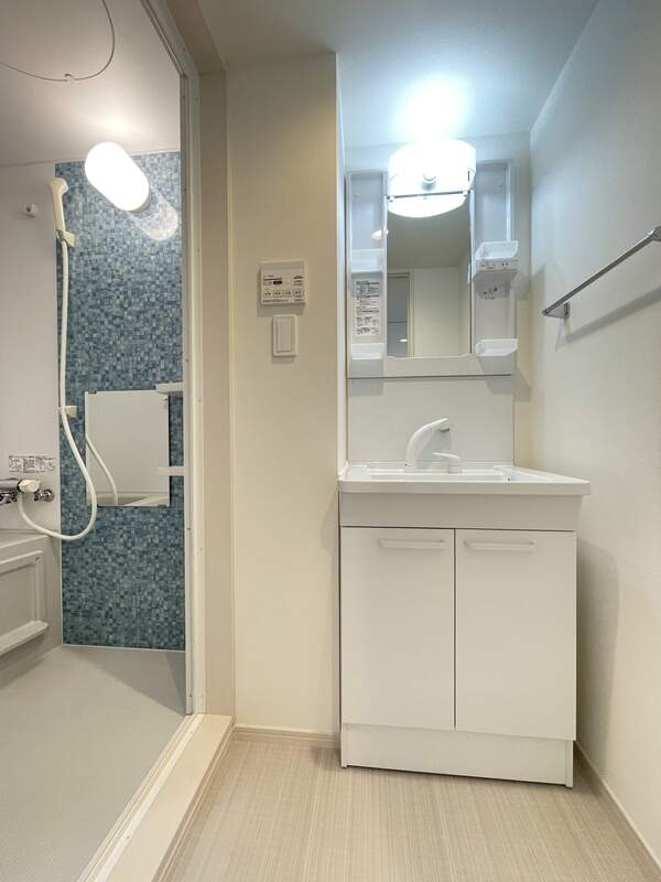 ��ʌ�����s�≺���Q���ڂ̃}���V�����̐��ʏ�