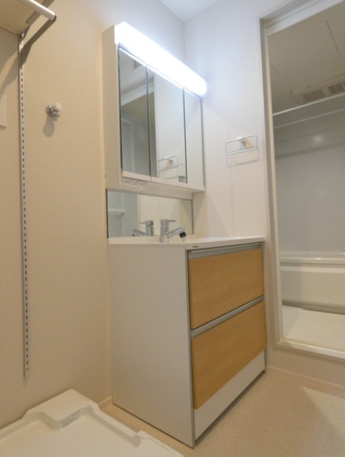 ��ʌ�����s������S���ڂ̃}���V�����̐��ʏ�