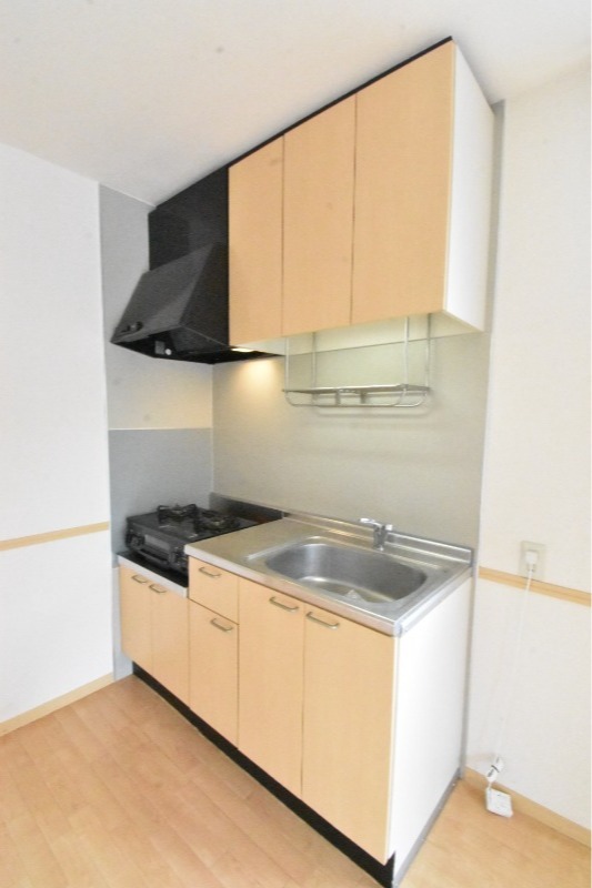 ��ʌ��������܎s������厚���{���̃A�p�[�g�̃L�b�`��