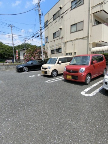 ��ʌ��������܎s������厚���V��̃}���V�����̒��ԏ�