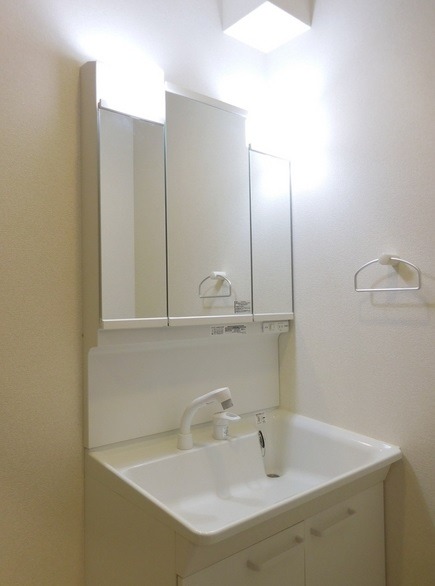 ��ʌ��������܎s��{�扺���P���ڂ̃}���V�����̐��ʏ�