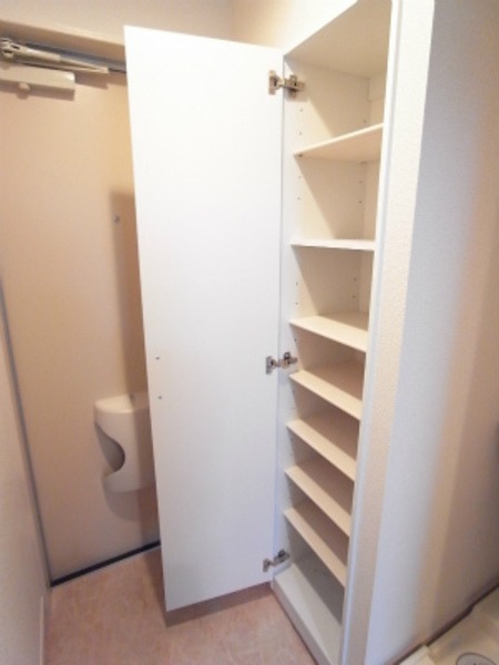 ��ʌ��������܎s�Y�a��j���J�S���ڂ̃}���V�����̌���