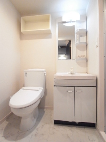 ��ʌ��������܎s�Y�a��j���J�S���ڂ̃}���V�����̐��ʏ�