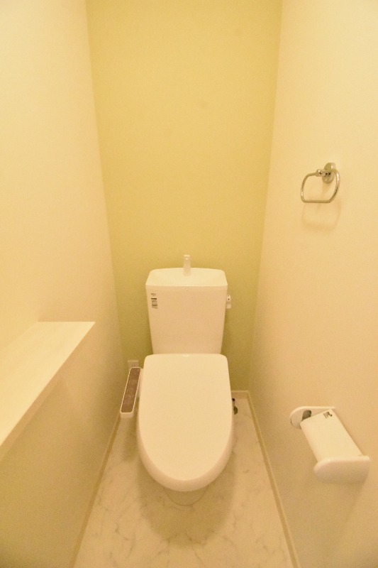 ��ʌ�����s�厚�����̈�ˌ��Ẵg�C��