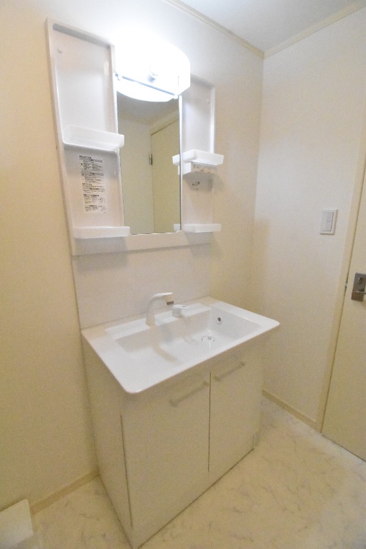 ��ʌ�����s�厚�����̈�ˌ��Ă̐��ʏ�