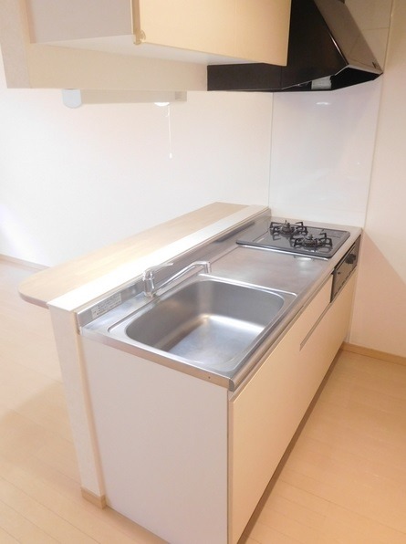 ��ʌ�����s�O�c�a�R���ڂ̃}���V�����̃L�b�`��