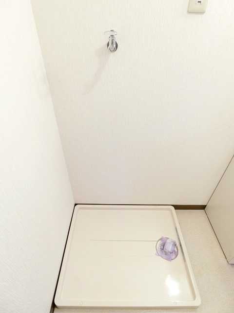 ��ʌ�����s�����P���ڂ̃}���V�����̂��̑�