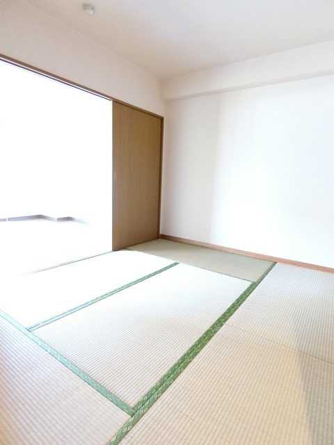 ��ʌ�����s�����P���ڂ̃}���V�����̂��̑�