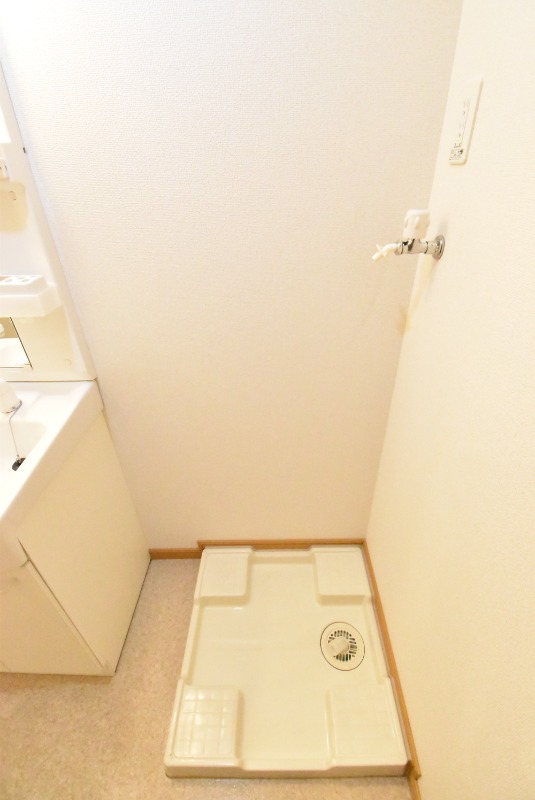 ��ʌ�����s�厚������̃}���V�����̂��̑�