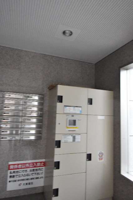 ��ʌ�����s�厚������̃}���V�����̂��̑�