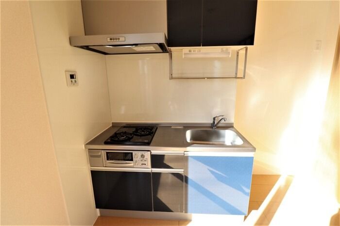 ��ʌ������s�_���P���ڂ̃A�p�[�g�̃L�b�`��