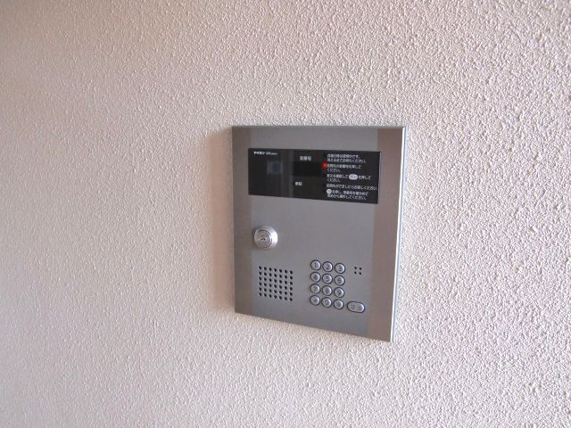 ��ʌ�����s��c�{�̃}���V�����̂��̑�