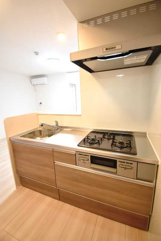 ��ʌ��z�J�s�{�{���Q���ڂ̃A�p�[�g�̃L�b�`��