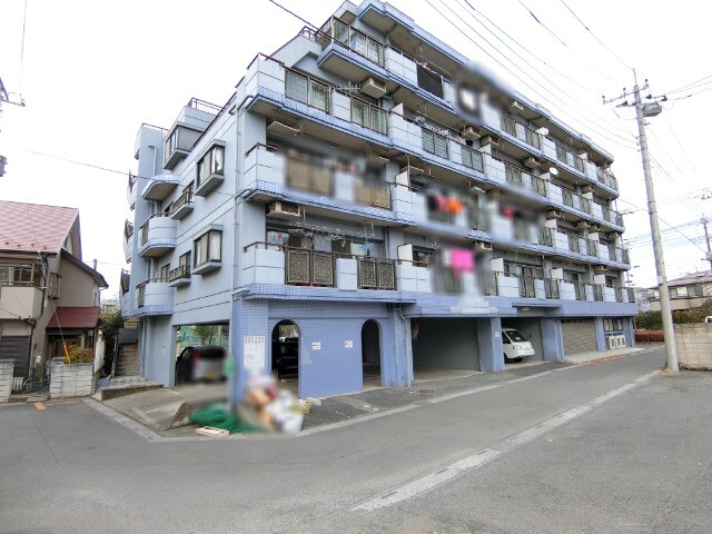 ��ʌ�����s�厚���~�J�̃}���V�����̌����O��