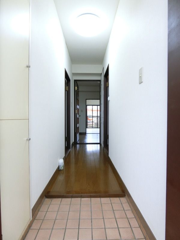 ��ʌ�����s�厚���~�J�̃}���V�����̌���