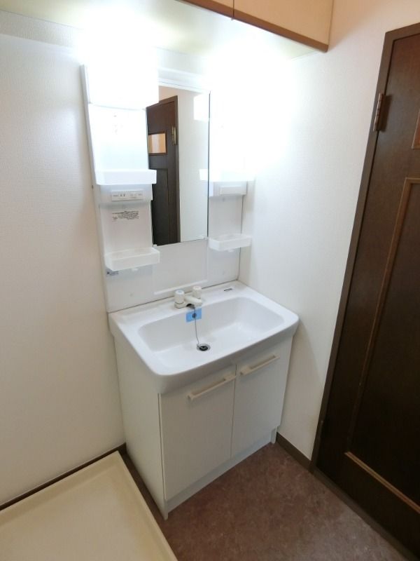 ��ʌ�����s�厚���~�J�̃}���V�����̐��ʏ�