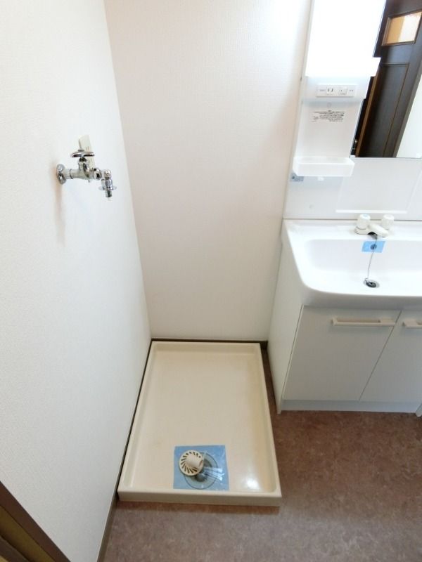 ��ʌ�����s�厚���~�J�̃}���V�����̂��̑�