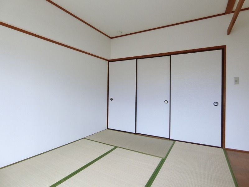 ��ʌ�����s�厚���~�J�̃}���V�����̂��̑�