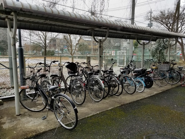 ��ʌ�����s�厚���~�J�̃}���V�����̂��̑�