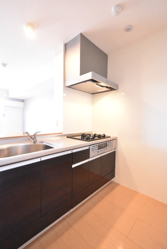 ��ʌ��z�J�s���z�J�Q���ڂ̃A�p�[�g�̃L�b�`��