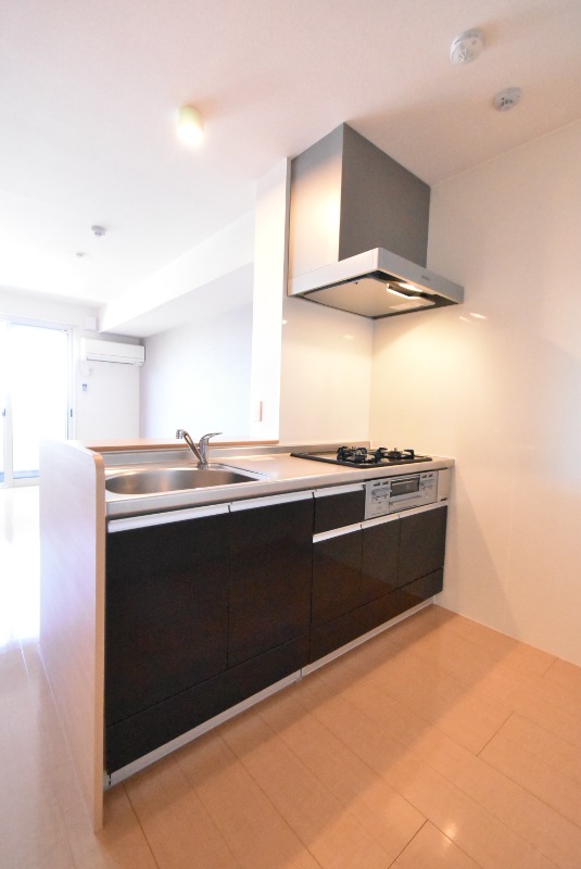 ��ʌ��z�J�s���z�J�Q���ڂ̃A�p�[�g�̃L�b�`��